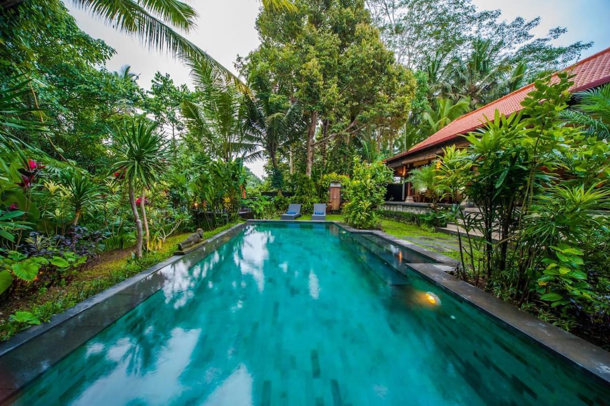 Luxury 3Br Infinity Jungle View Aashaya Villa Ubud Ngoại thất bức ảnh