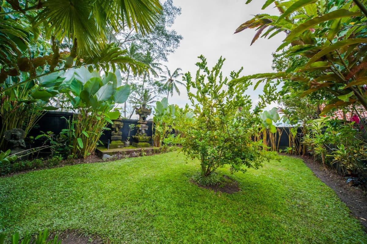 Luxury 3Br Infinity Jungle View Aashaya Villa Ubud Ngoại thất bức ảnh