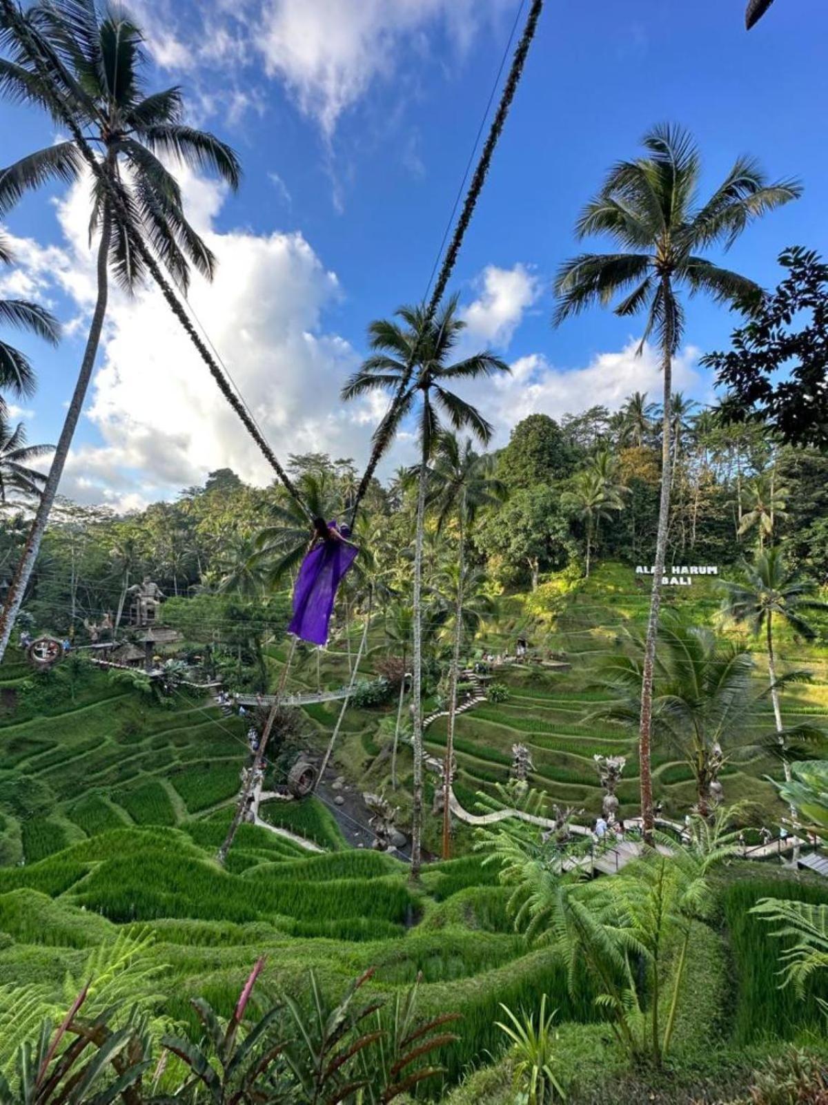 Luxury 3Br Infinity Jungle View Aashaya Villa Ubud Ngoại thất bức ảnh